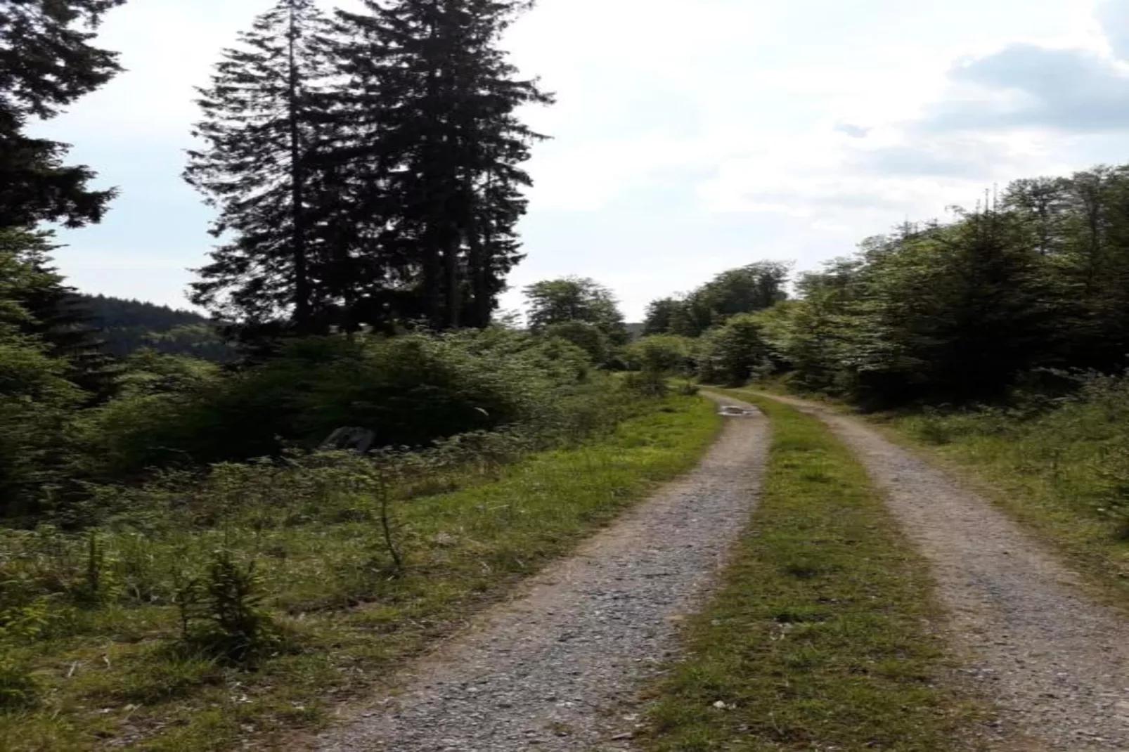 Sauerland-Gebiete Sommer 5 km