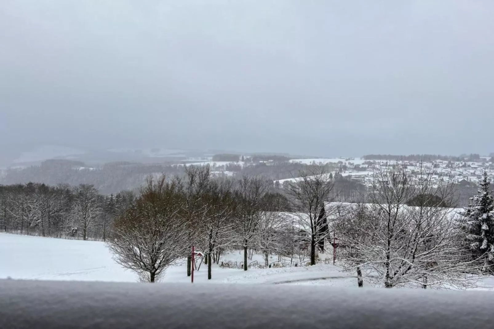 Bergresort Winterberg 4 - Area within 20km in winter