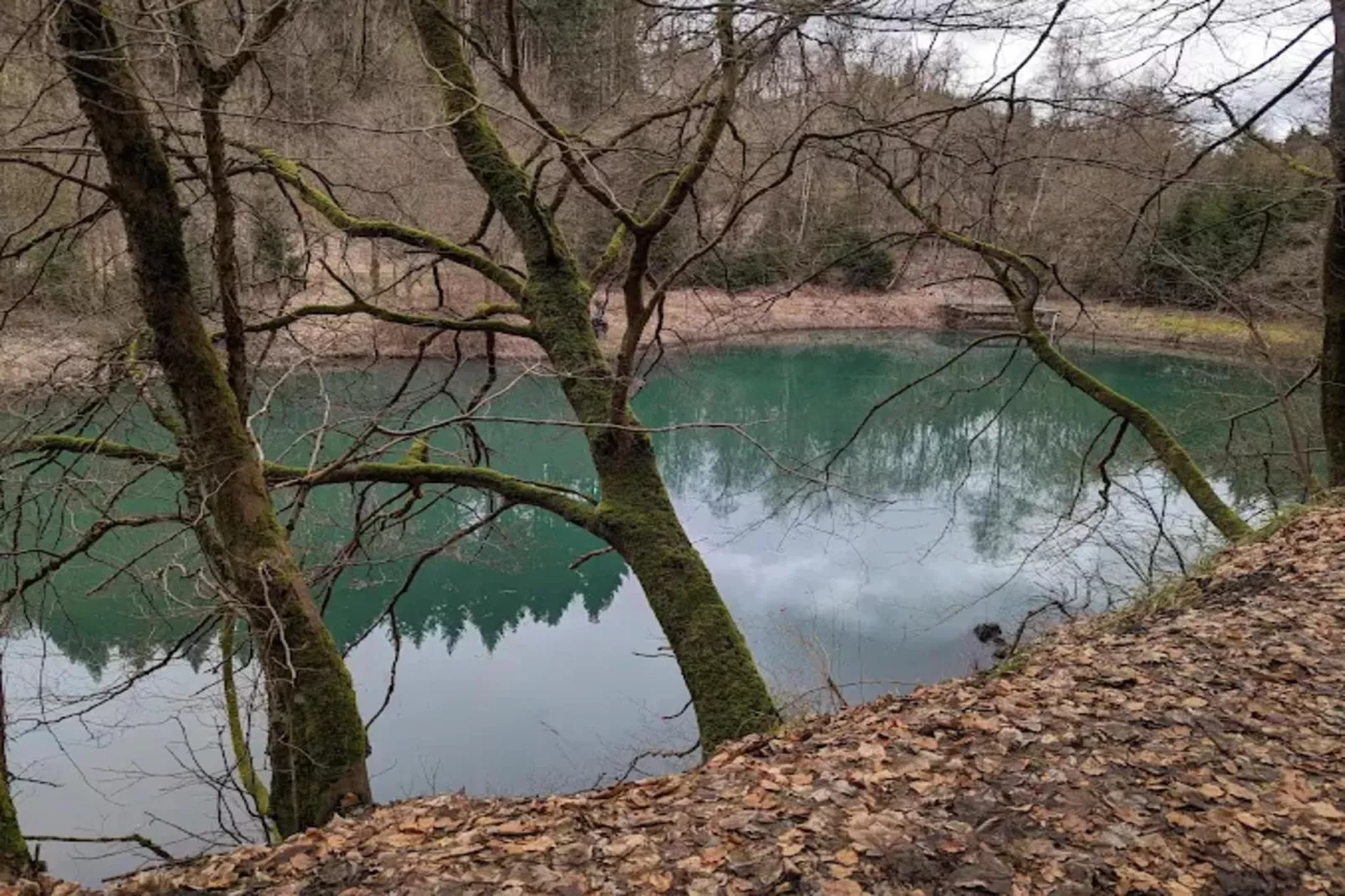 Buchenweg 13 - Kappenblick-Zones été à 5 km