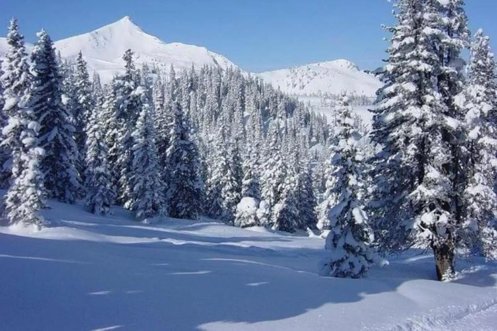 Blokhuis Winterberg Tulp-Area within 20km in winter