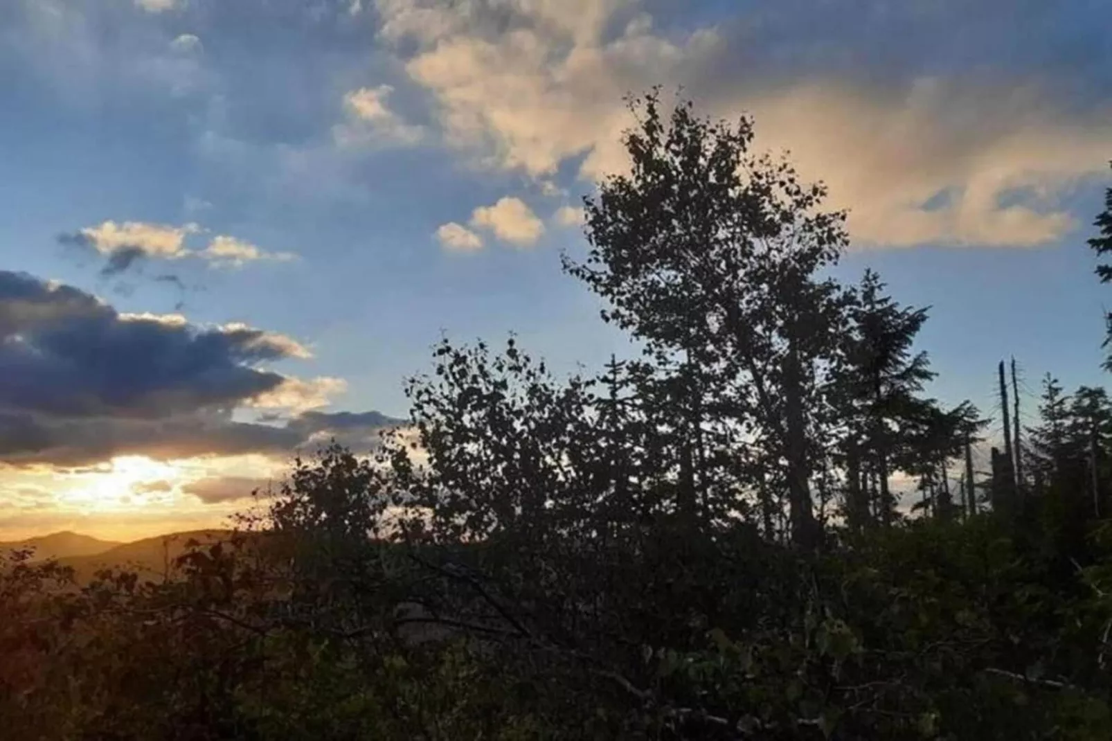 Feriendorf Waldbrunn 1-Gebiete Sommer 20 km