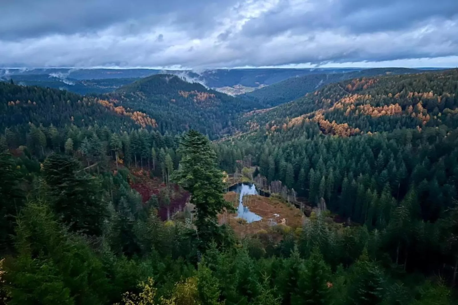 Kniebis-Areas within 20km in summer
