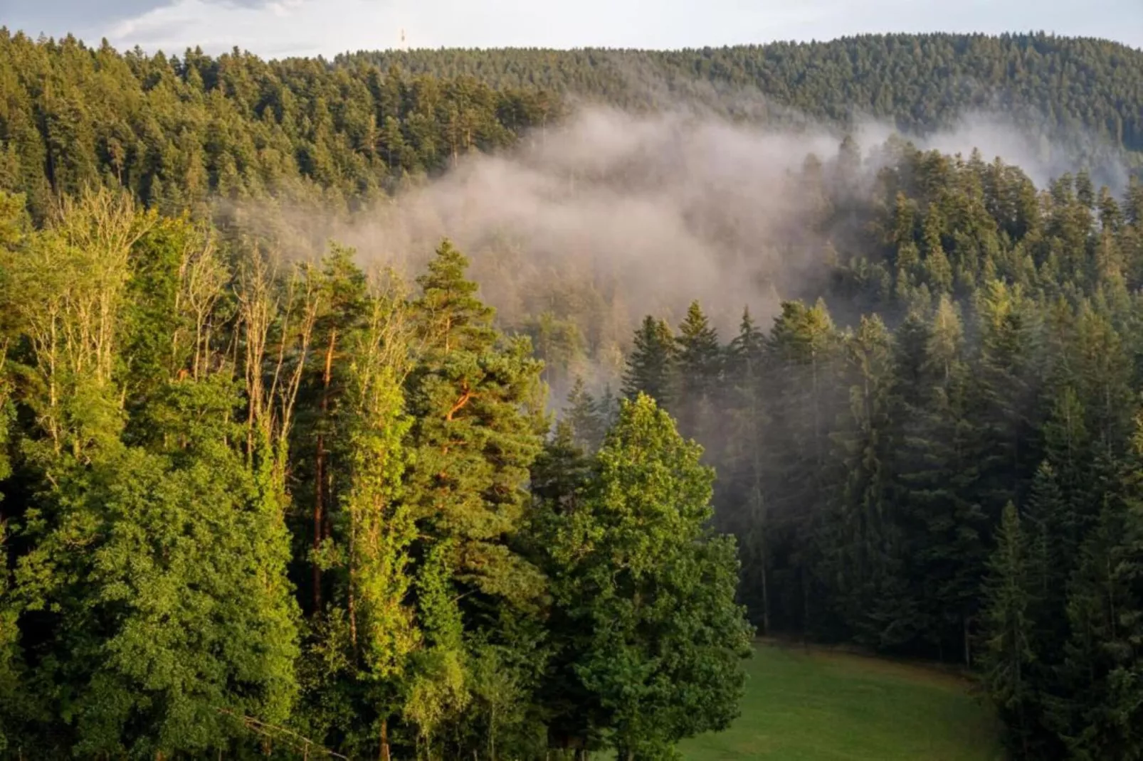 Panoramablick-Areas within 20km in summer