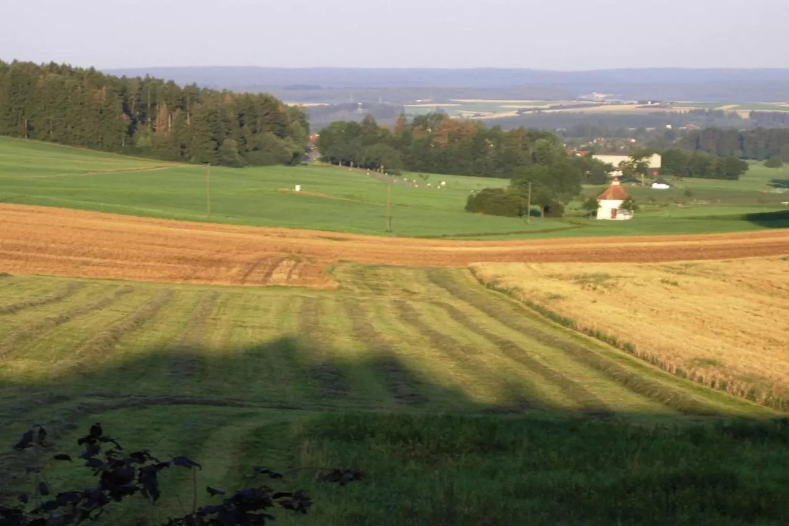 Park Blick-Areas within 20km in summer