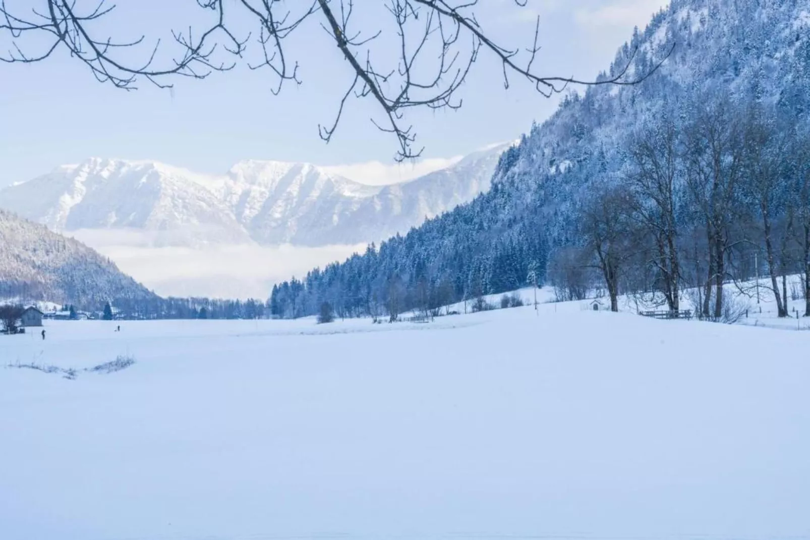 Sonnenblume-Area within 20km in winter
