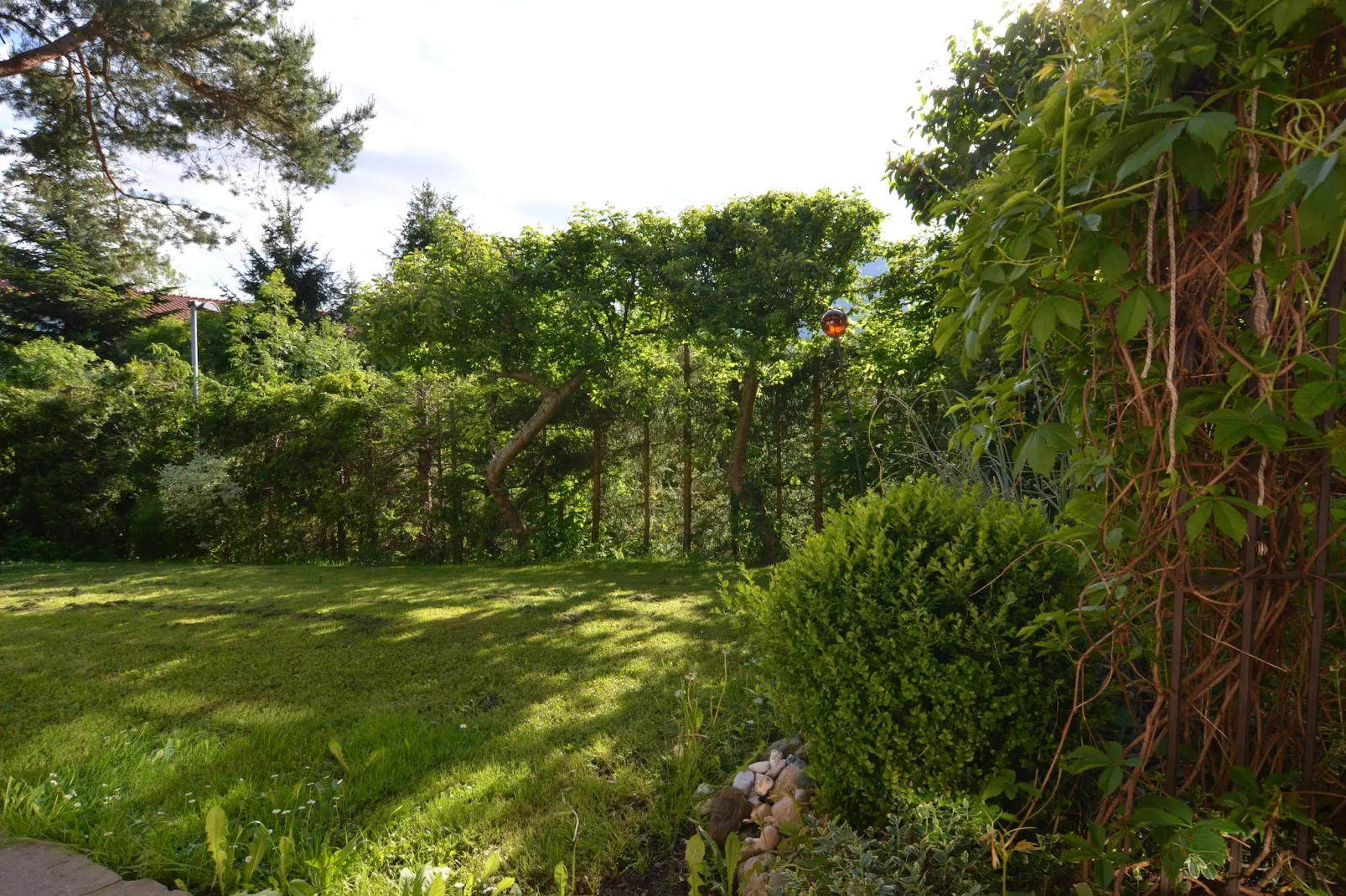 Monika-Aussicht Sommer