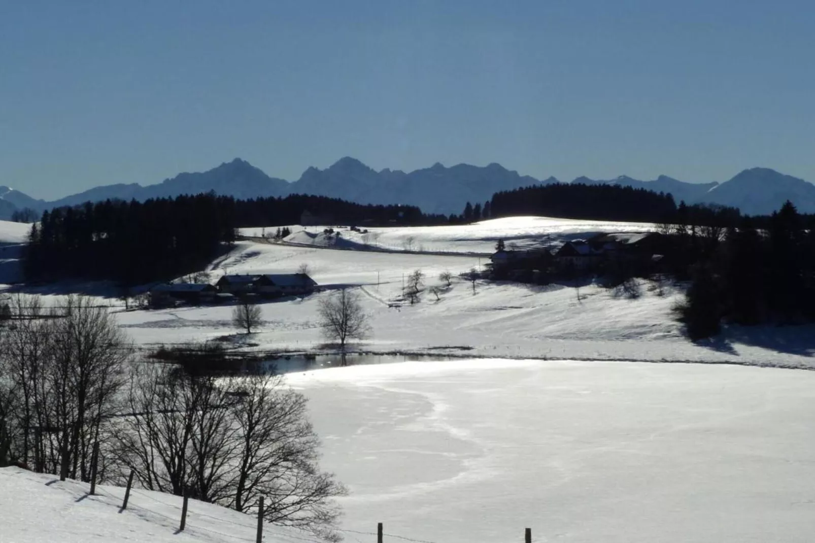 Alpenblick-Area within 20km in winter