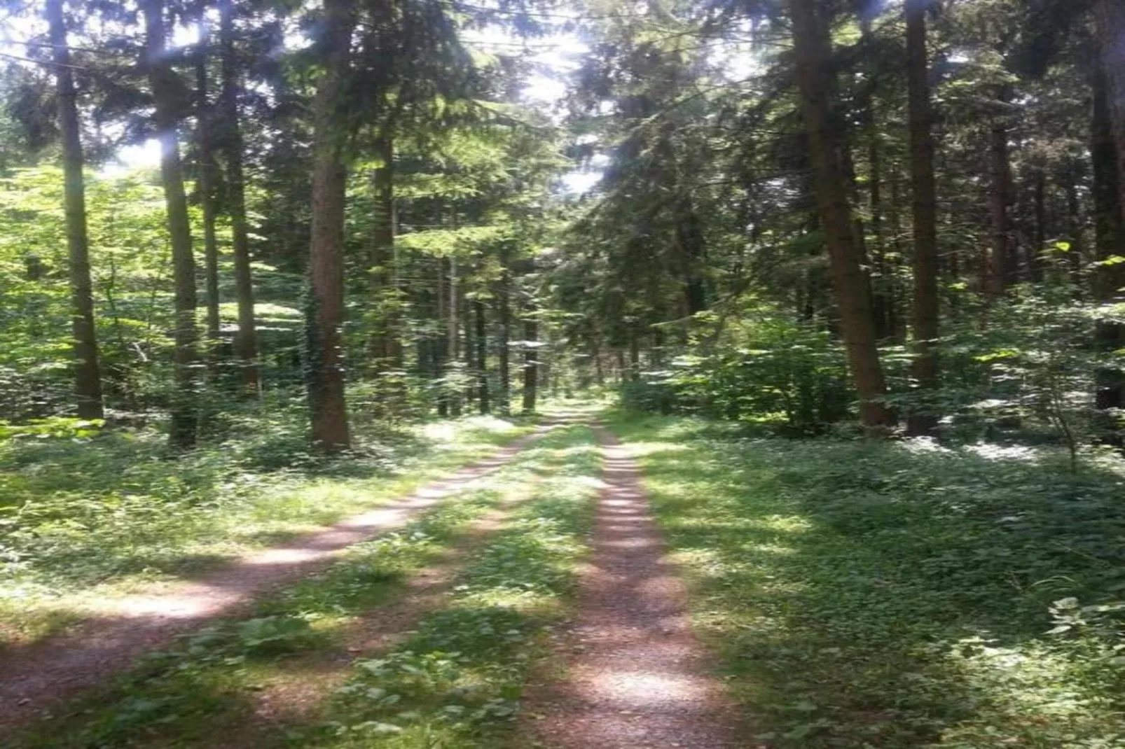 Markdorf-Areas within 20km in summer