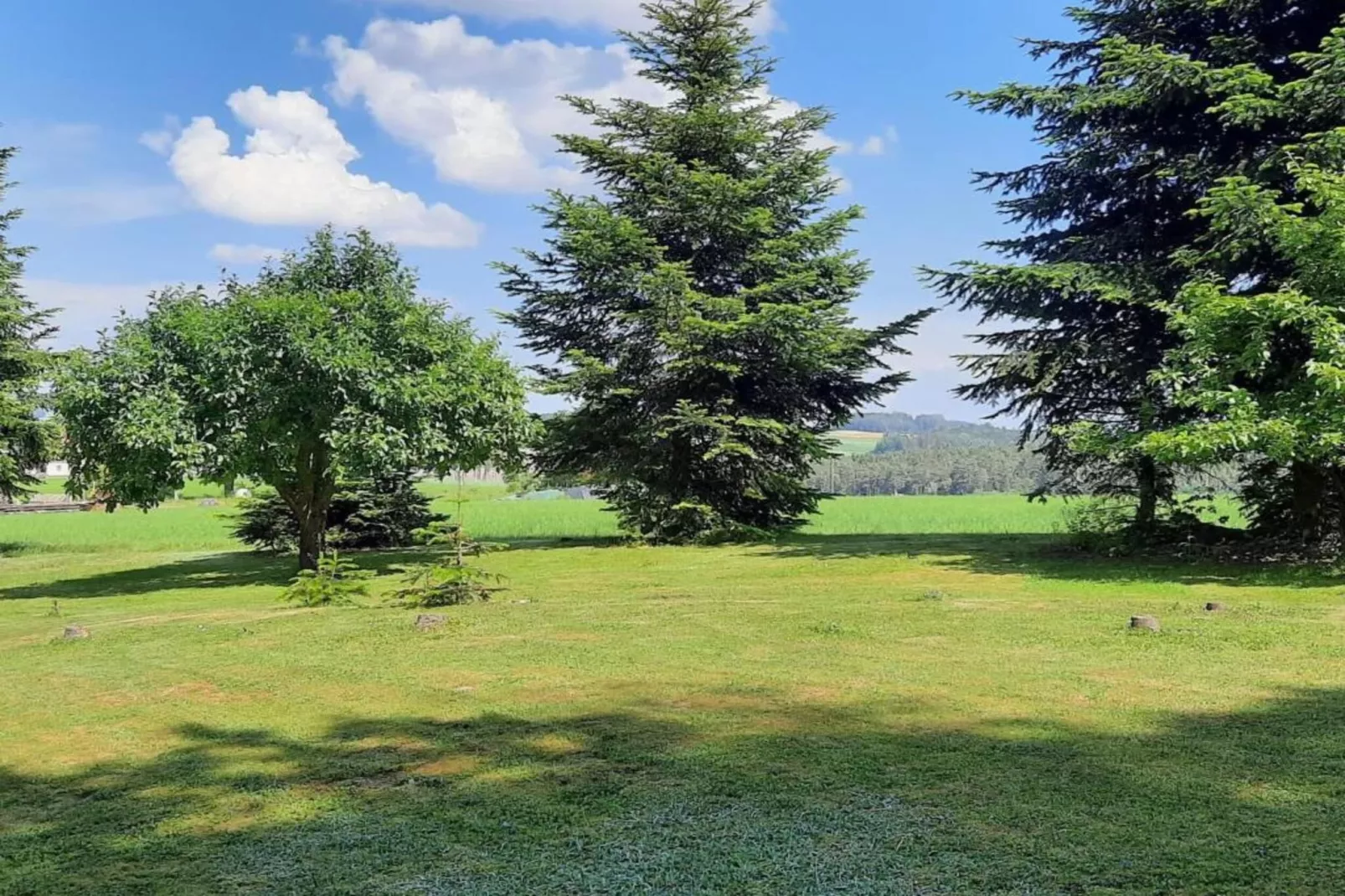 Morgensonne-Areas within 20km in summer