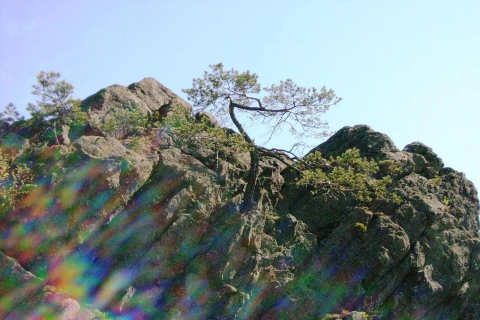 Schloßbergblick-Areas within 20km in summer