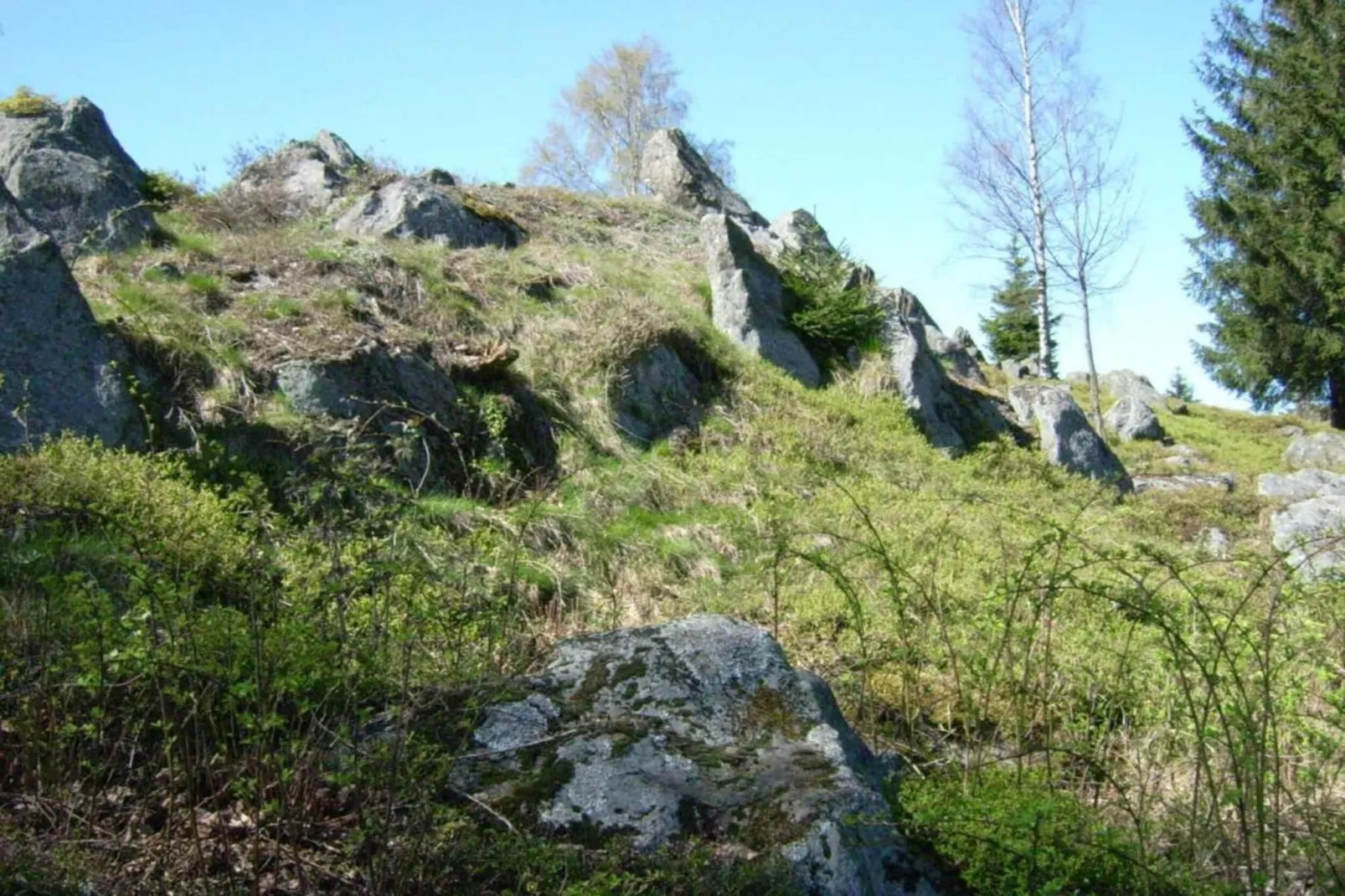 Bayerischer Wald-Zones été à 20 km