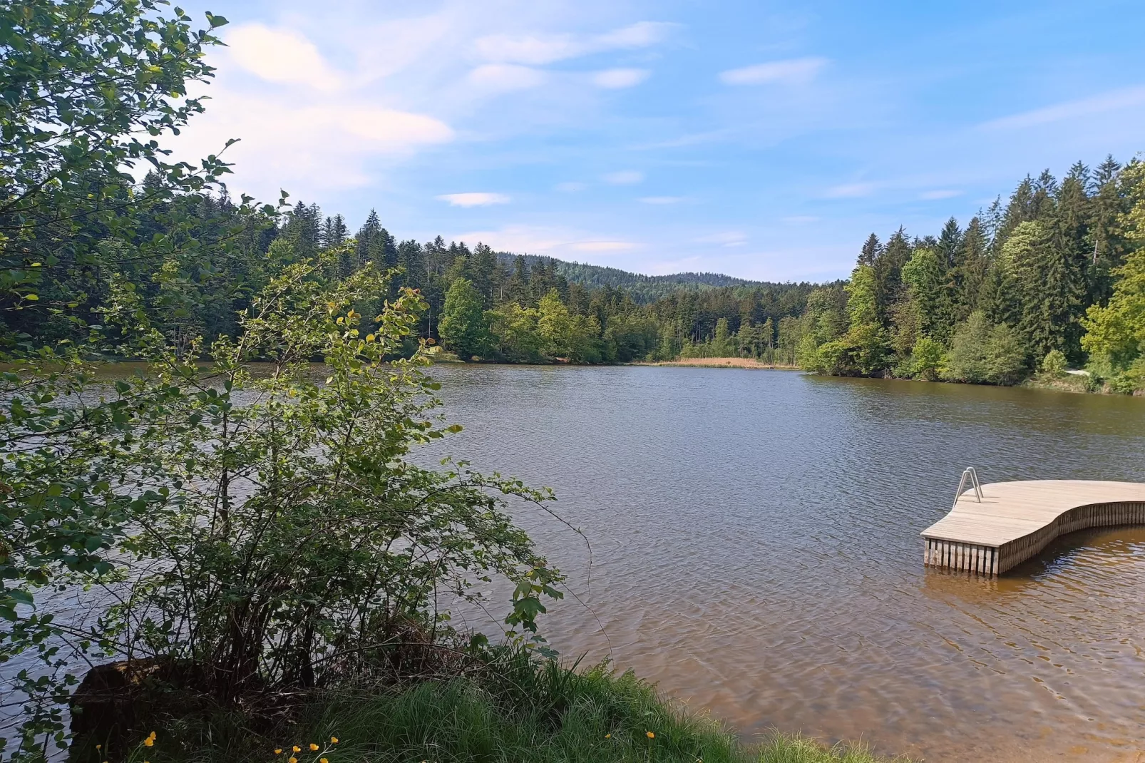 Holecek-Areas within 1km in summer