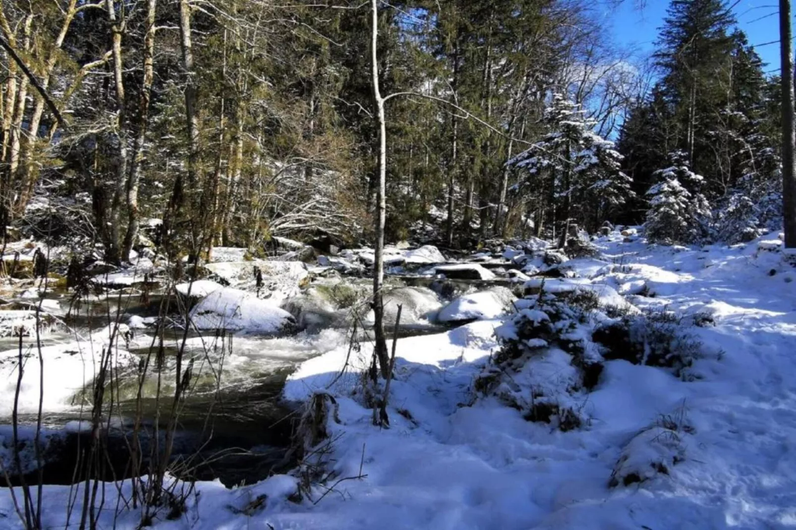 Bayerischer Wald-Area within 20km in winter