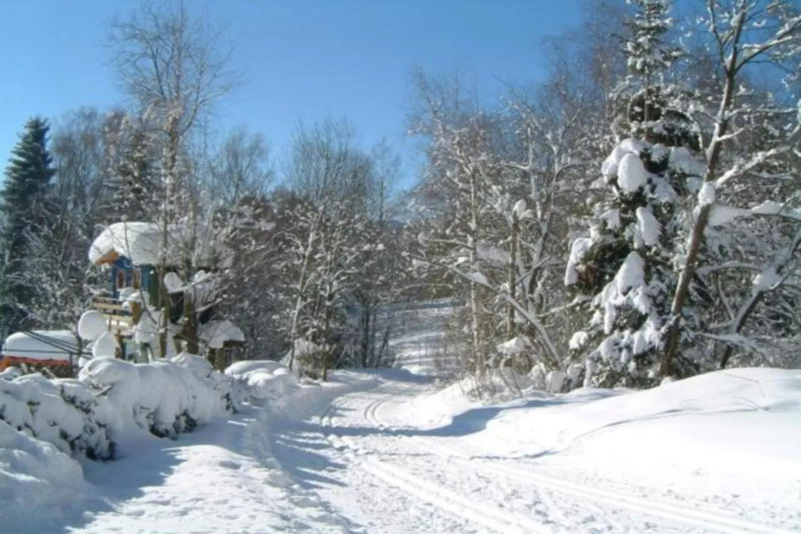 Im Bayerischen Wald-Area within 20km in winter
