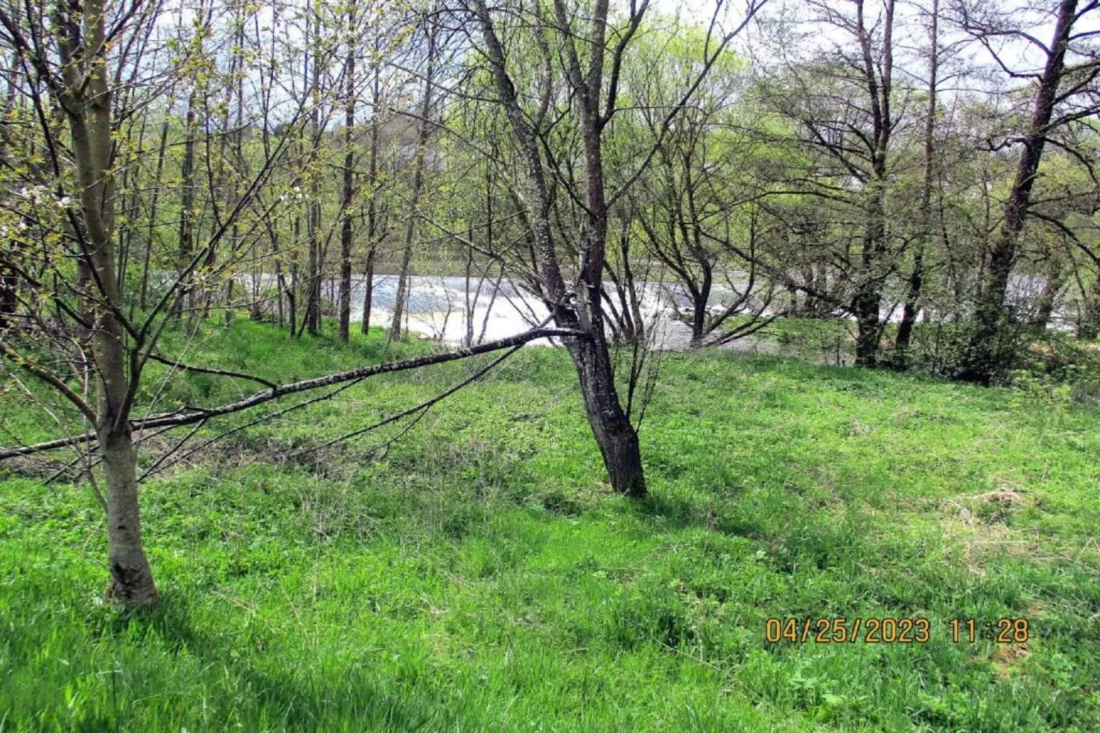 Ferienhaus mit Sauna im Bayerischen Wald-Areas within 20km in summer