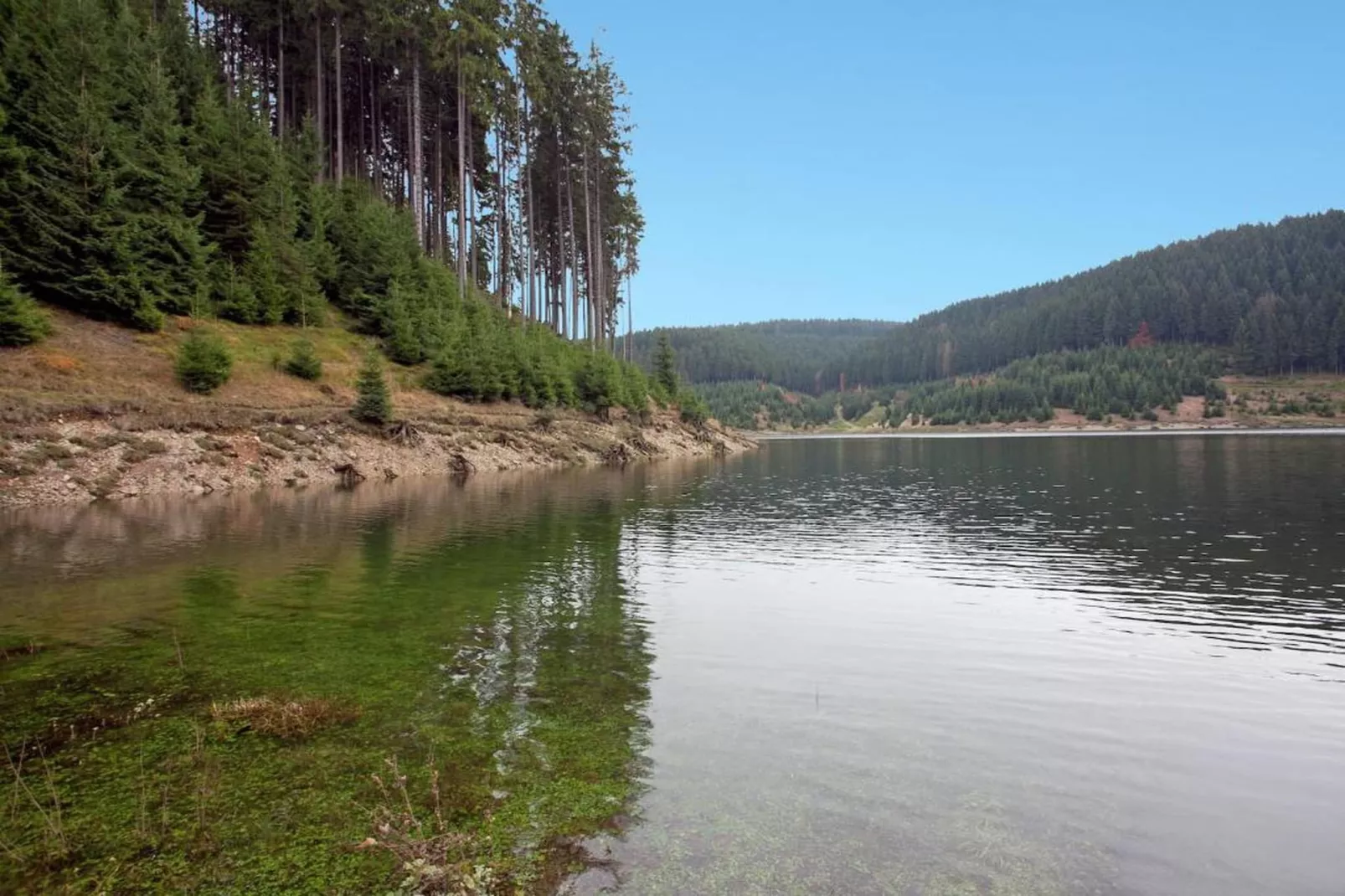 Waldblick-Gebiete Sommer 20 km