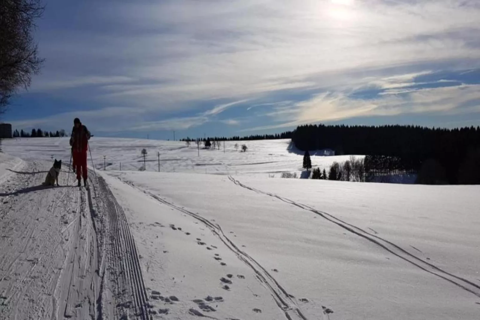 Thüringer Wald-Area within 20km in winter