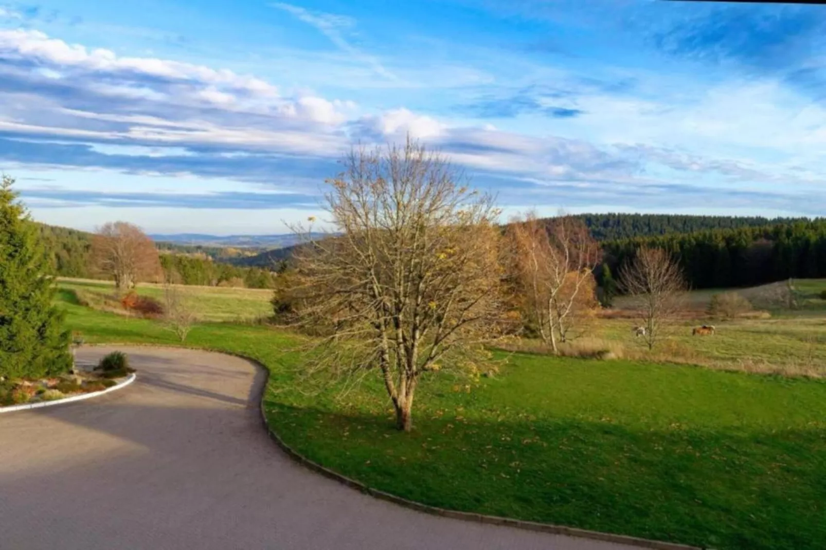Dorothea-Gebiete Sommer 5 km