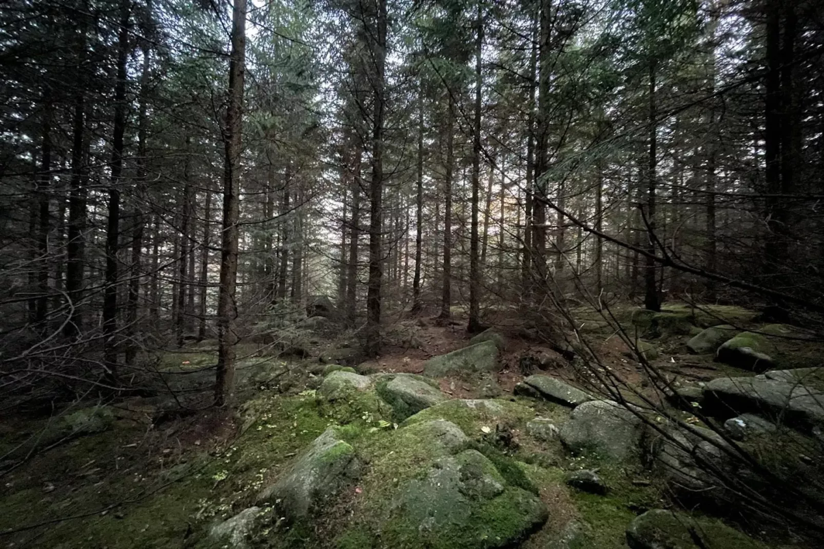 ExclusivLodge - 6 Erw 2 Ki-11 J-Areas within 5km in summer