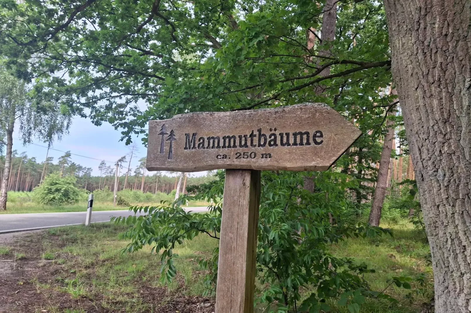 Chalet - 3 Personen-Gebiete Sommer 5 km