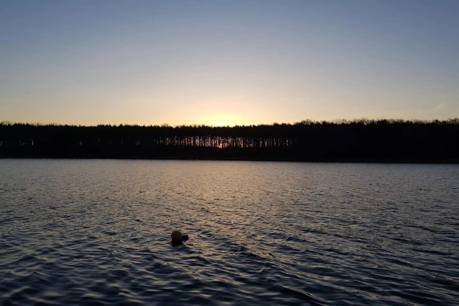 Kiebitz 100 qm-Gebiete Sommer 5 km