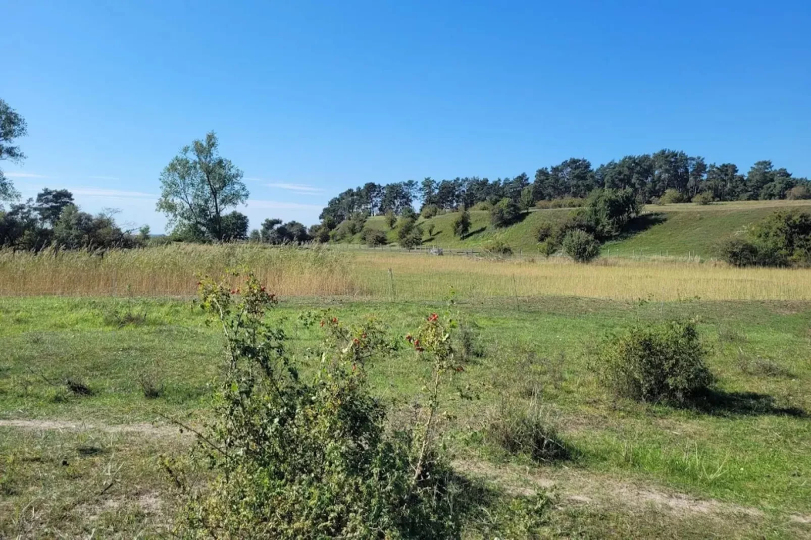 Appartement 4 rechts außen-Zones été à 5 km
