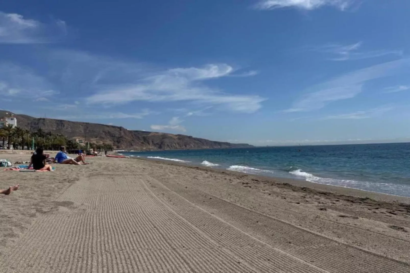 Los Olivos-Areas within 5km in summer