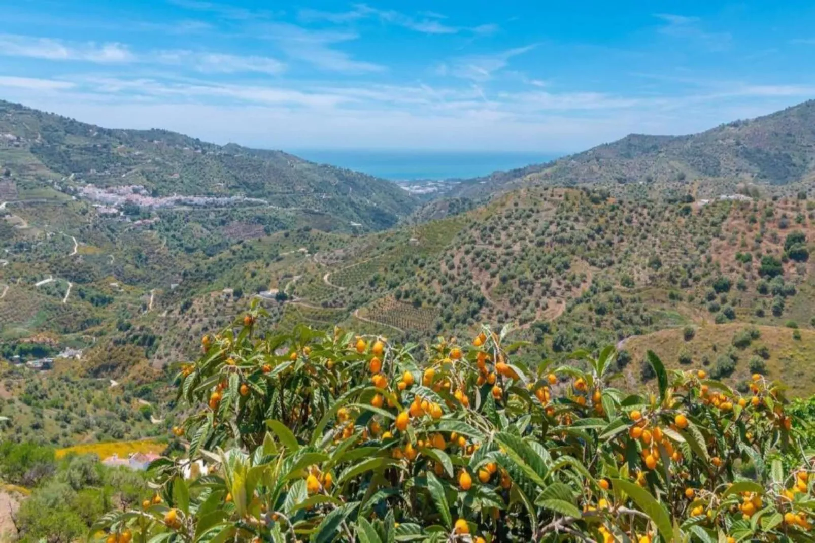 Villa Alejandro-Areas within 5km in summer