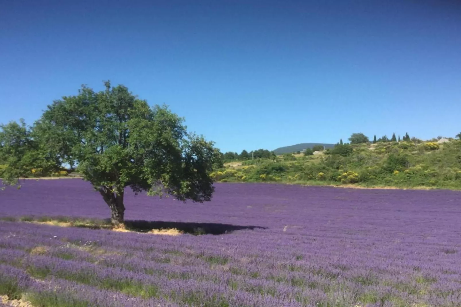 Les Demeures du Ventoux 2-Areas within 20km in summer