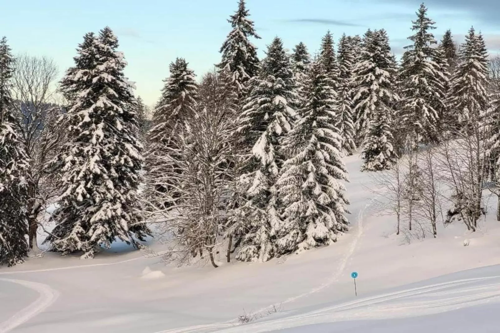 O CHALET-Zones hiver à 20 km