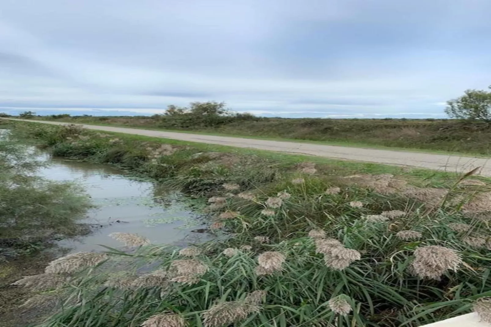 Le village Camarguais Les Gardians 1-Areas within 20km in summer