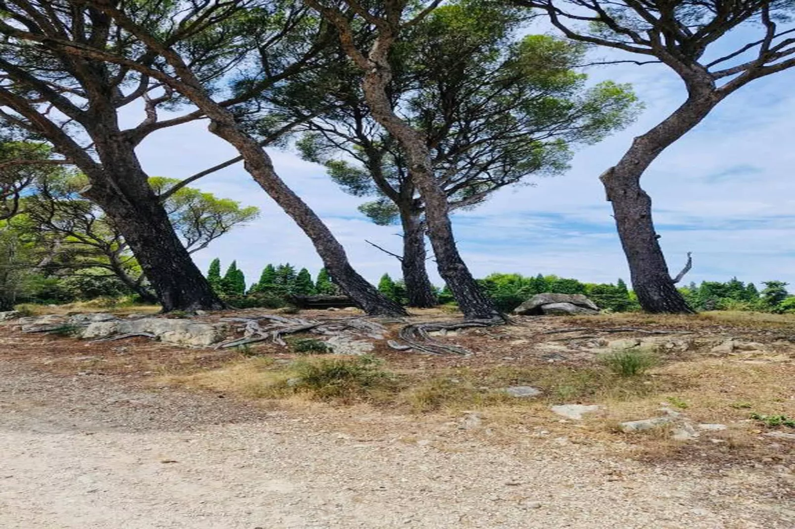 Résidence Le Mas des Alpilles 2-Areas within 20km in summer