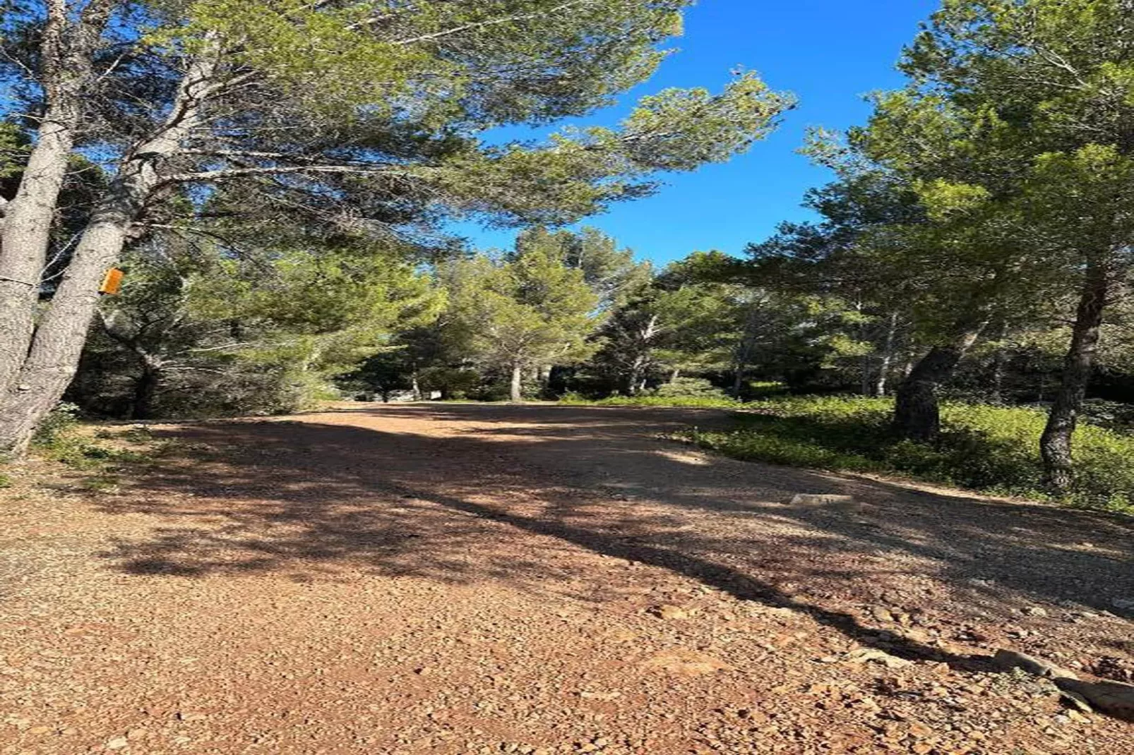 Rèsidence Le Mas des Alpilles 1-Areas within 20km in summer
