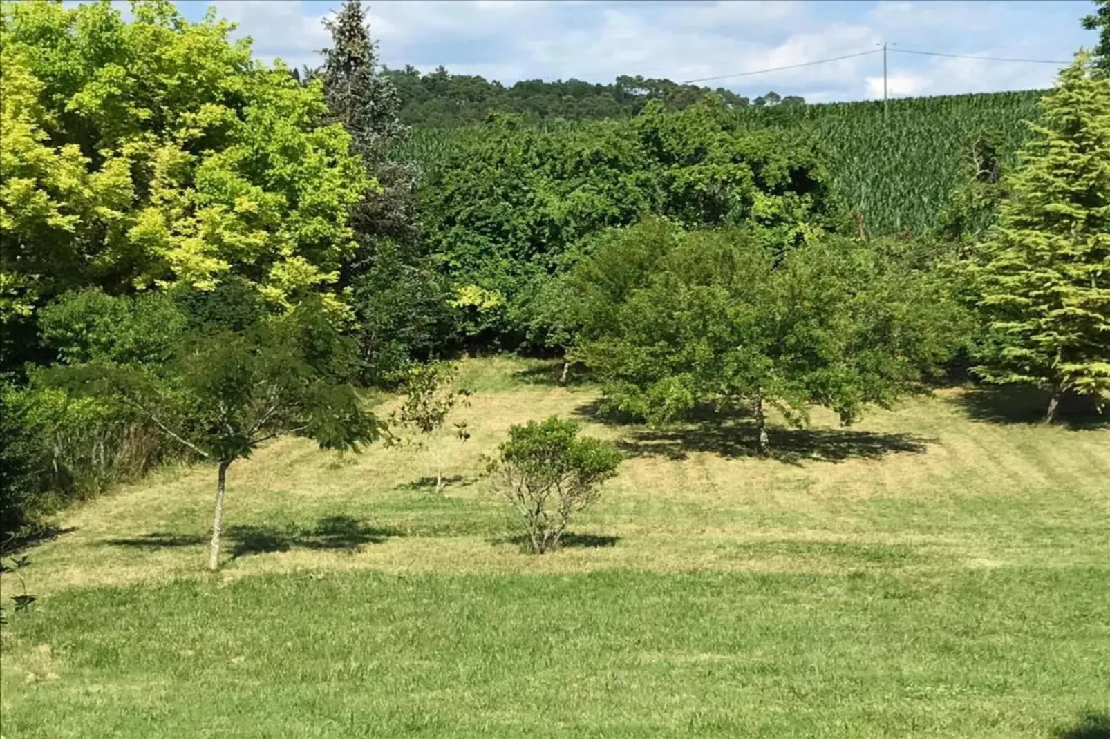 Les Coquelicots-Areas within 20km in summer