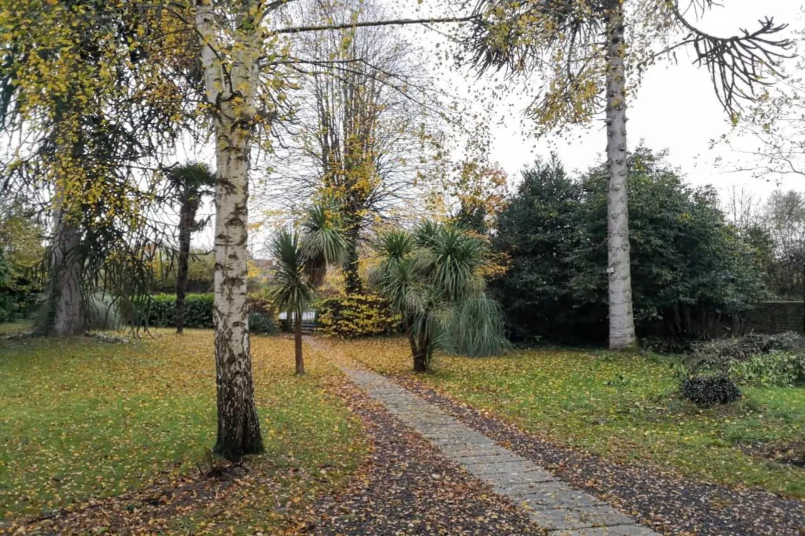 Heslonniere-Areas within 20km in summer