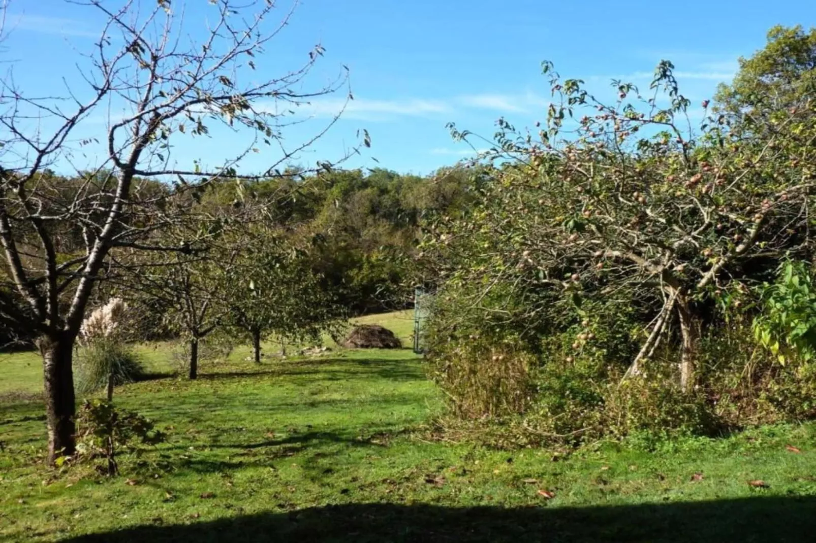 La Petite Houssaye-Areas within 20km in summer