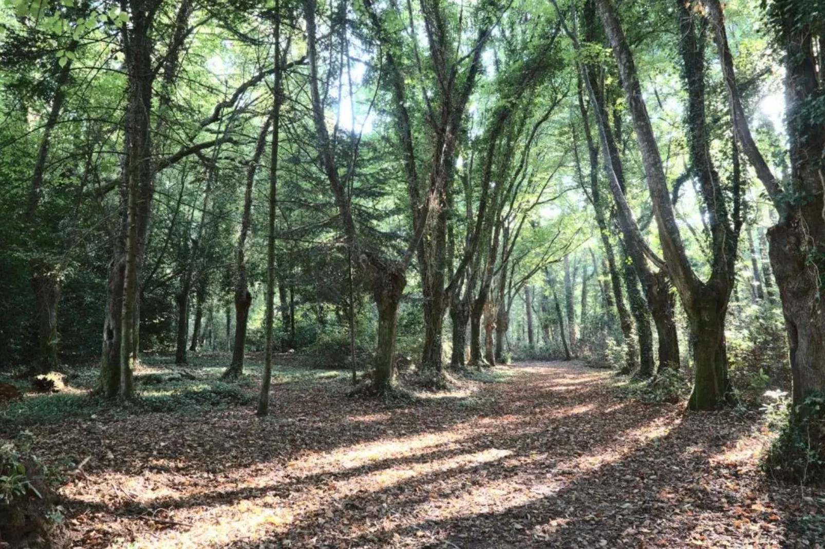 Domaine de val Quéven 1-Zones été à 20 km