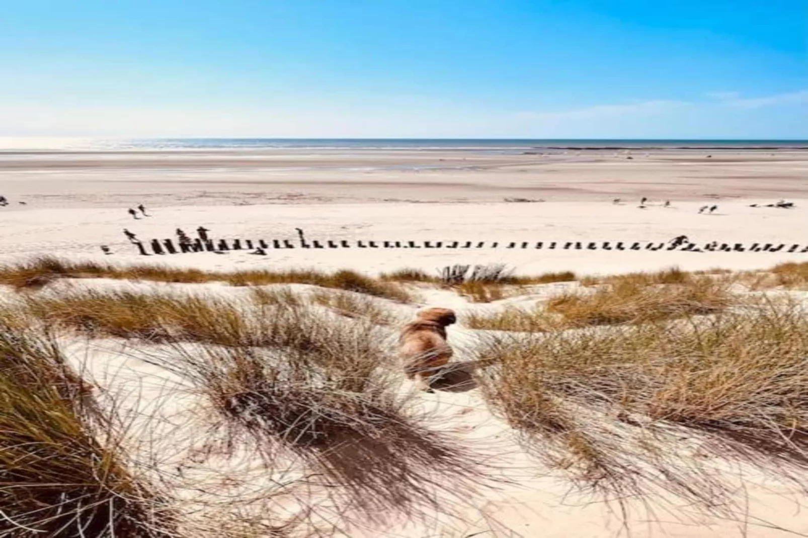 Berck sur Mer 11-Zones été à 20 km