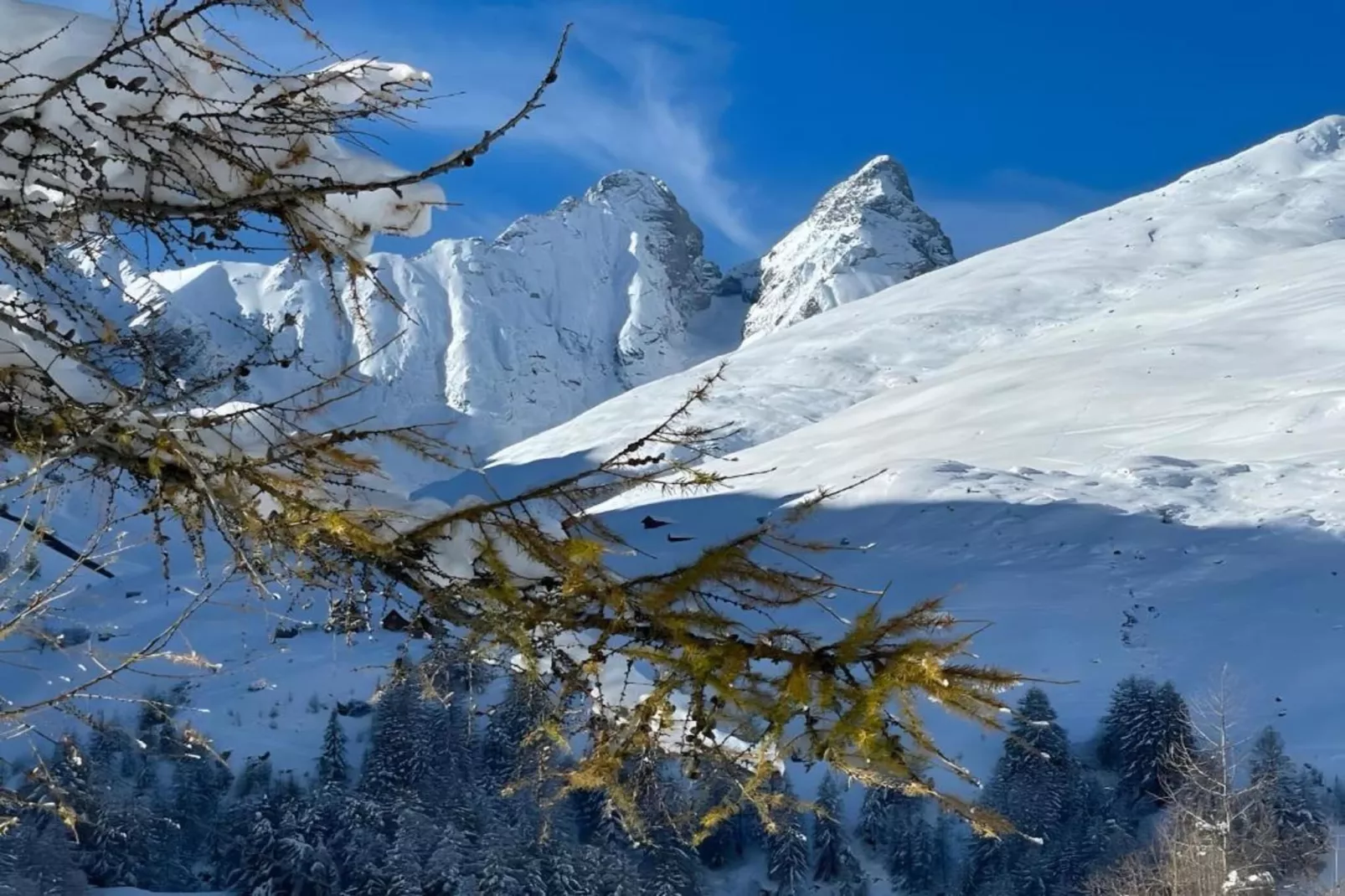 Chalet Le Mas des Neiges-Gebiet Winter 20 km