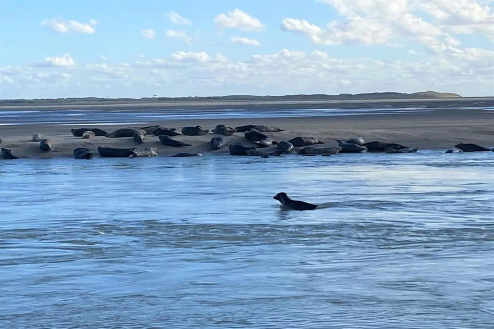 Résidence les Villas de la Baie 3-Zones été à 20 km