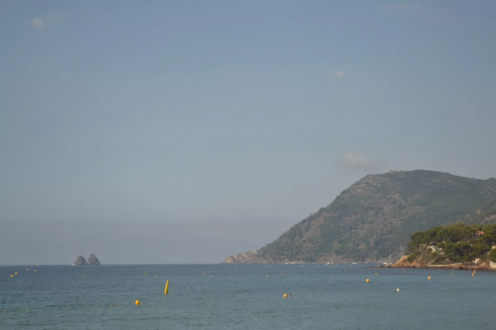 Mar vivo-Areas within 1km in summer