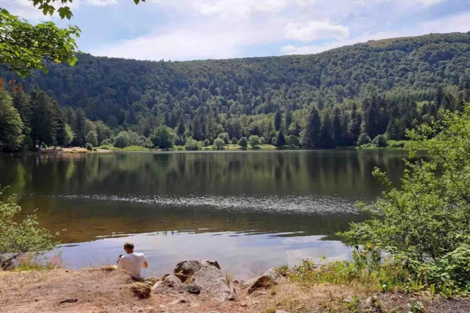 Le Menil-Areas within 20km in summer