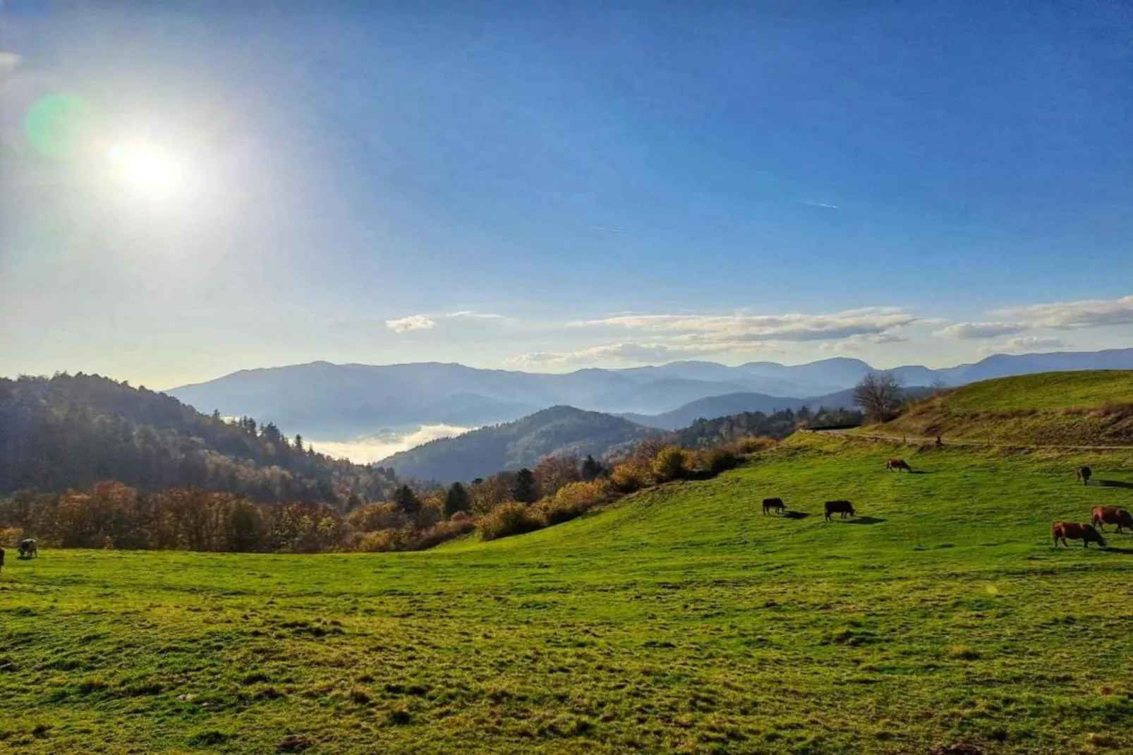 La Bergerie-Areas within 20km in summer