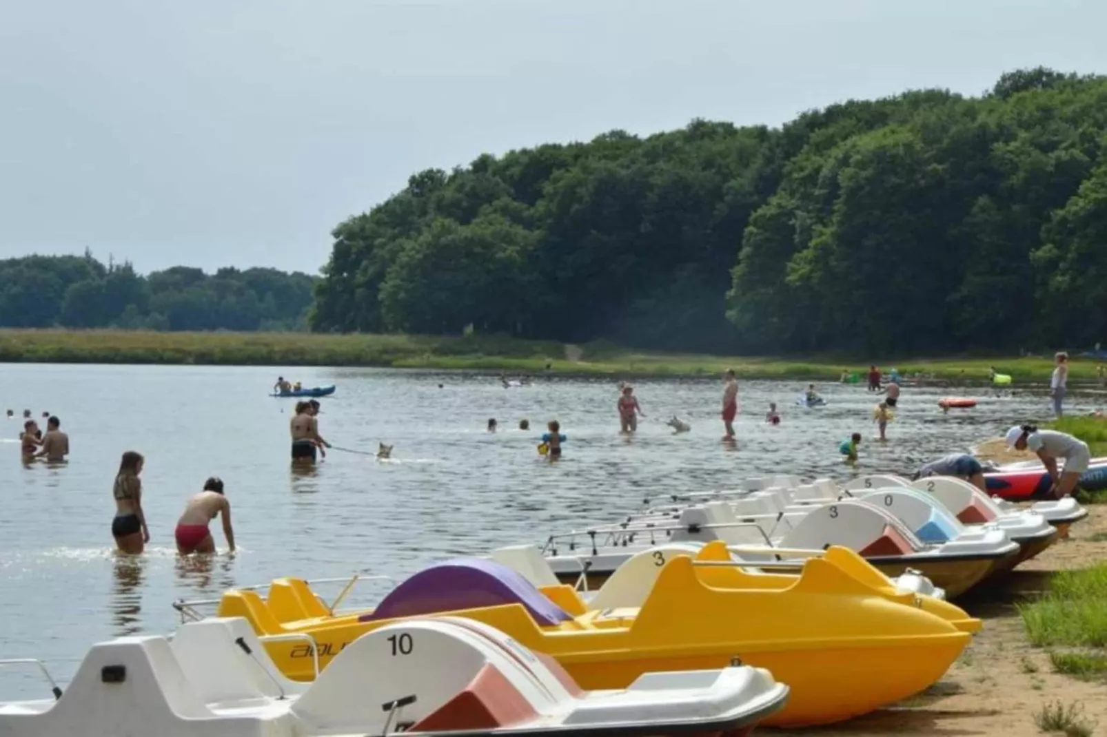 Maison de vacances Diges-Areas within 20km in summer