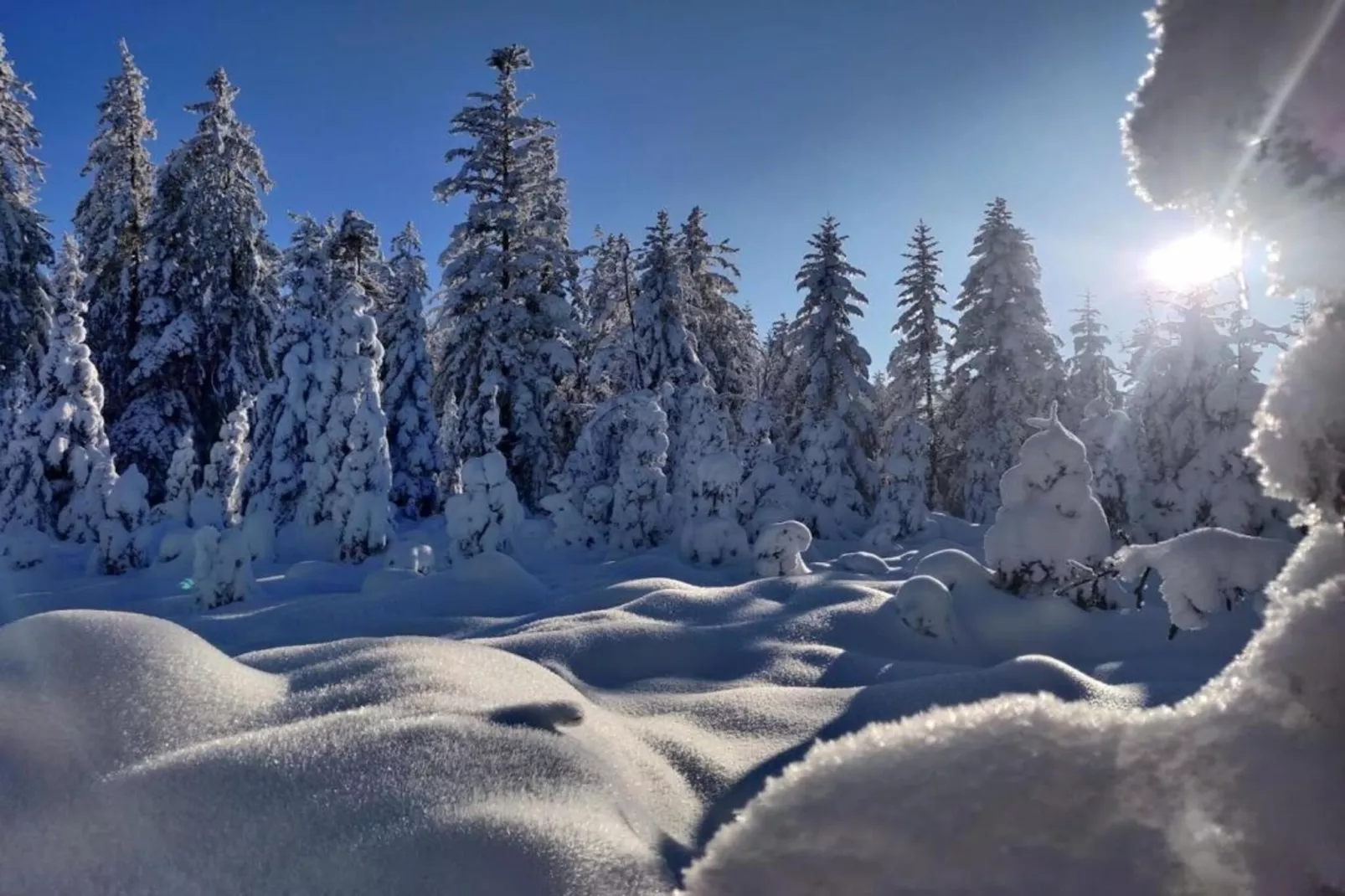 Ronds Chetys-Zones hiver à 20 km
