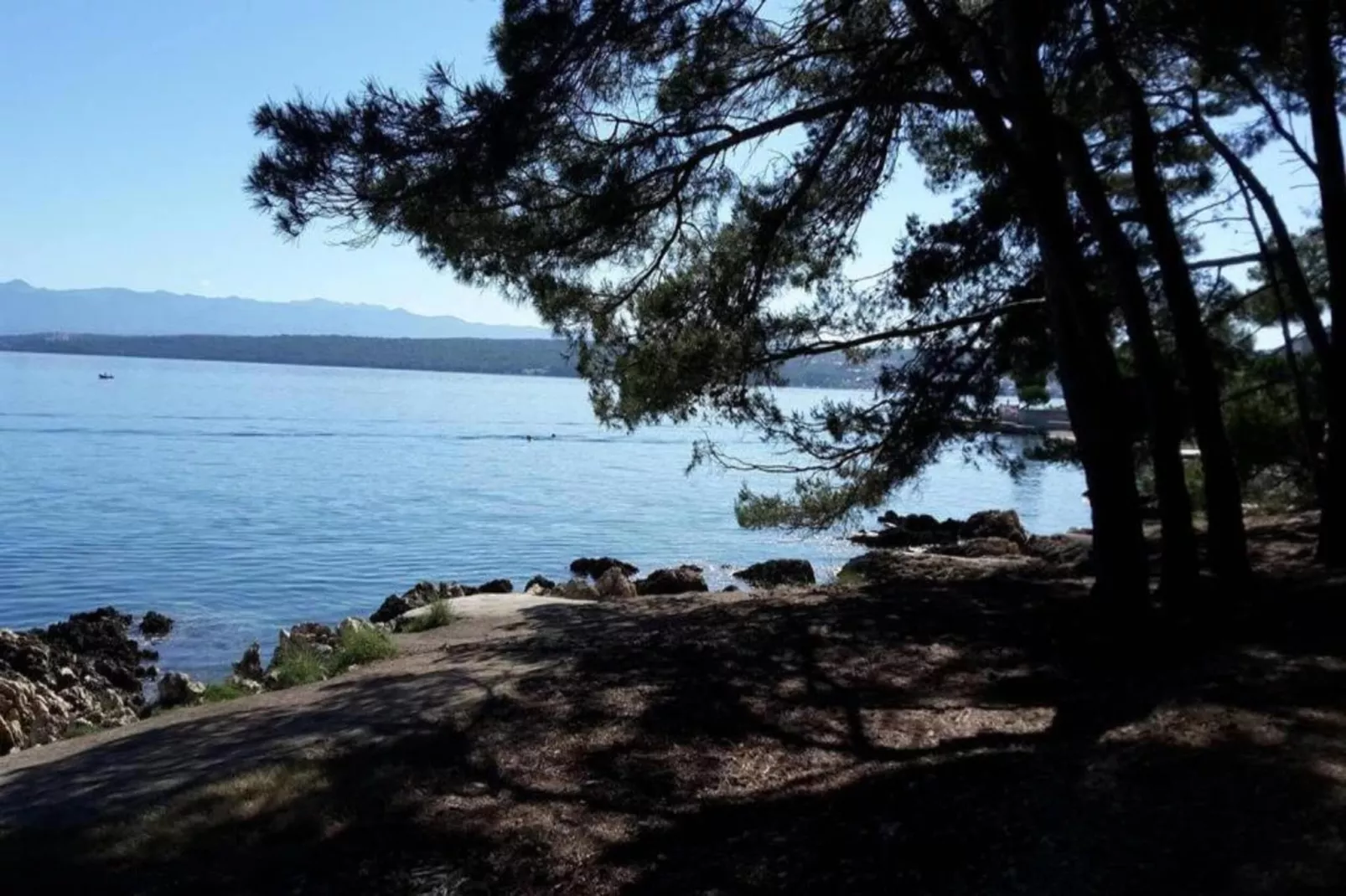 Apartment Vidak-Areas within 1km in summer