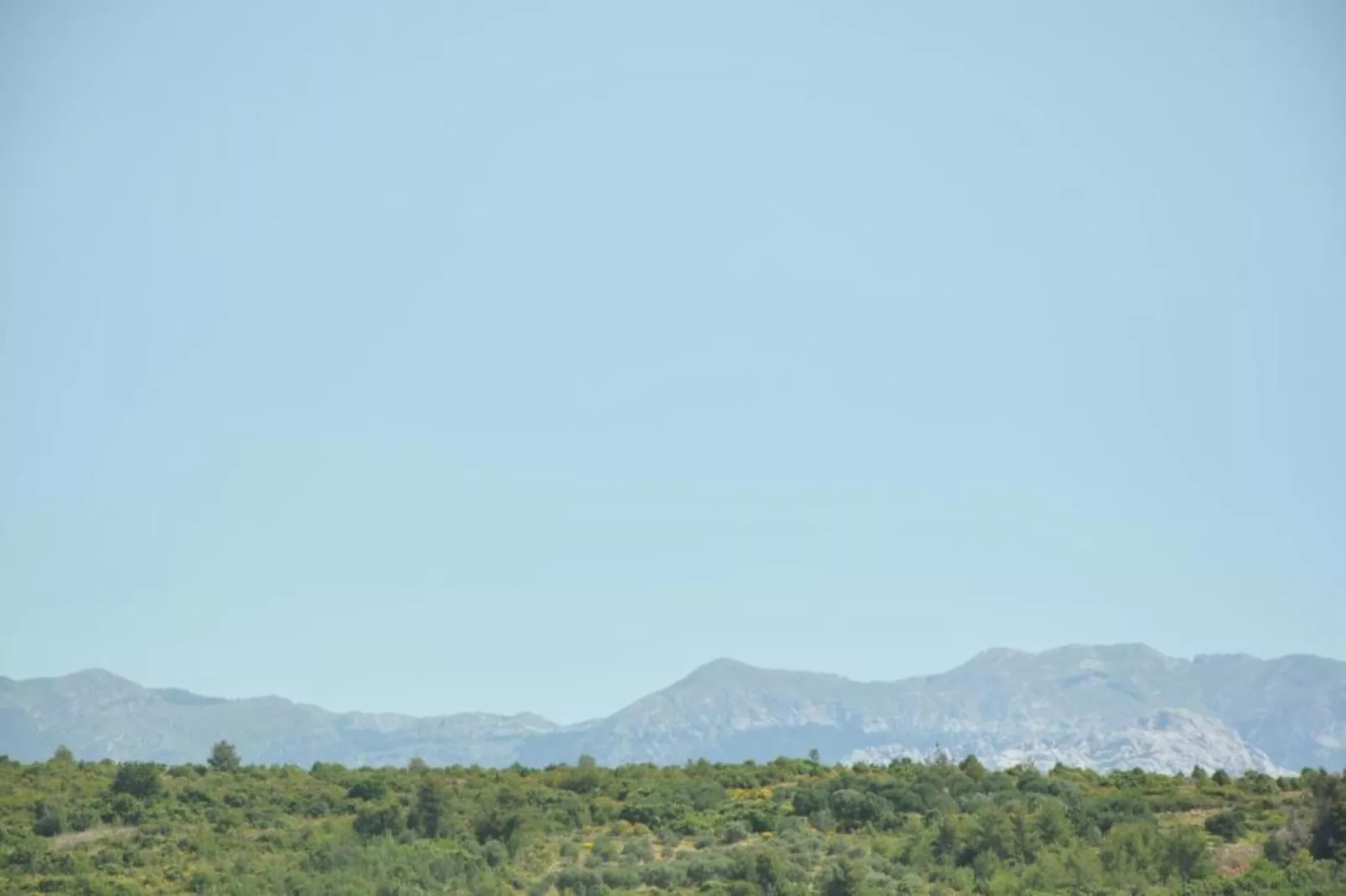Meri 3-Areas within 20km in summer