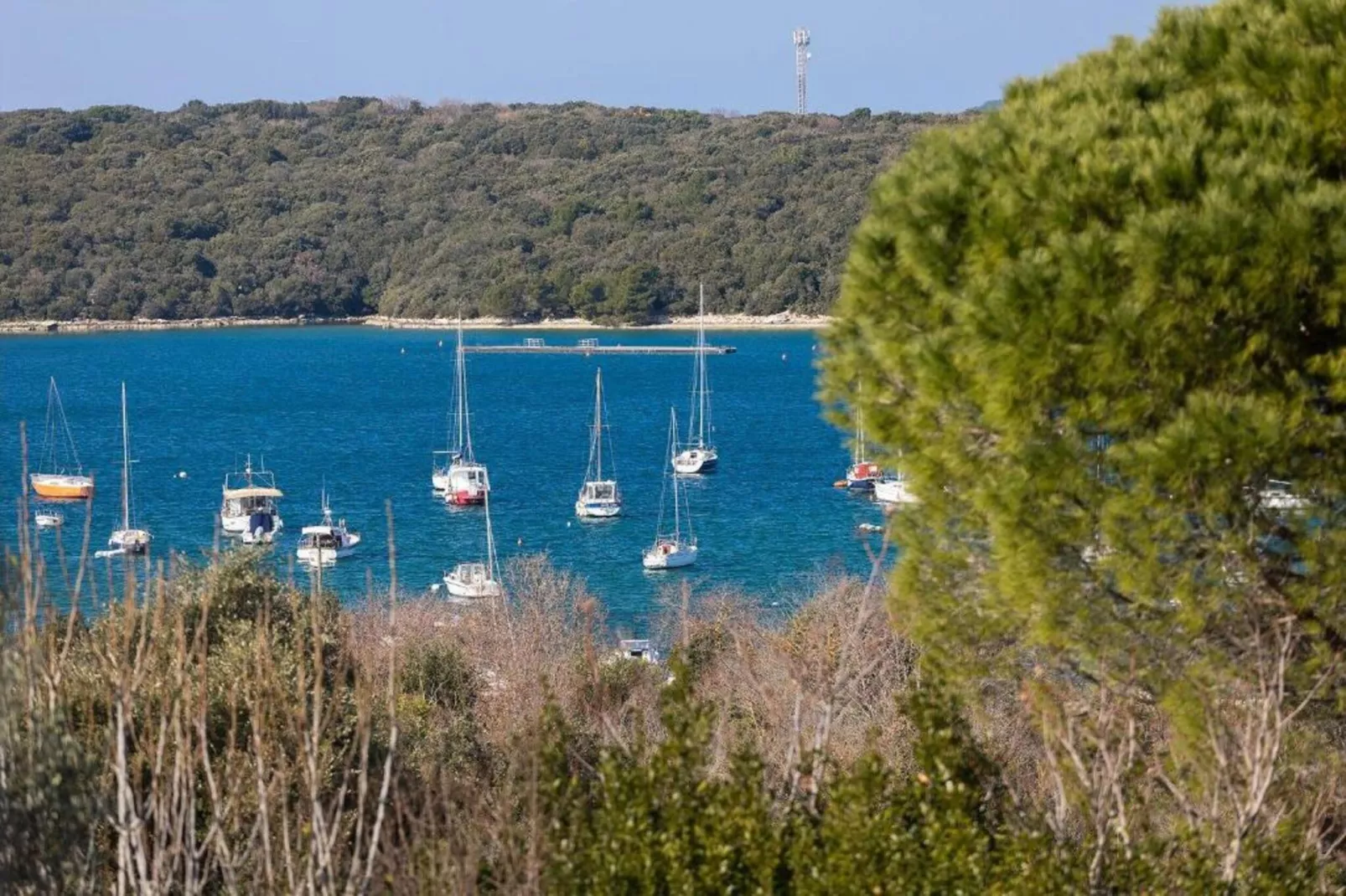 App Musoga 1-Zones été à 20 km