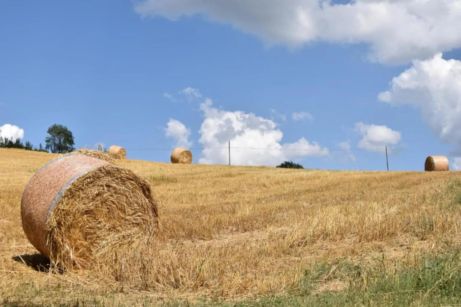 Villa Monte Acuto-Areas within 5km in summer
