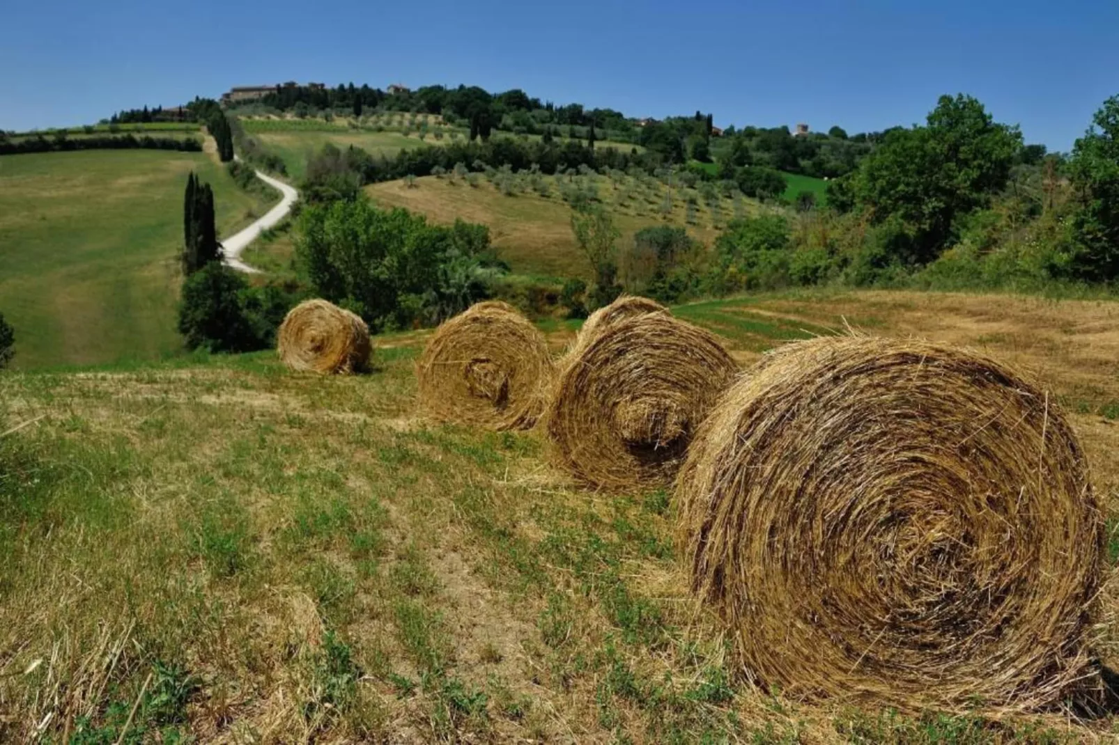 Fienile-Gebiete Sommer 20 km